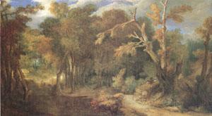 Largillierre Wooded Landscape (mk05) France oil painting art