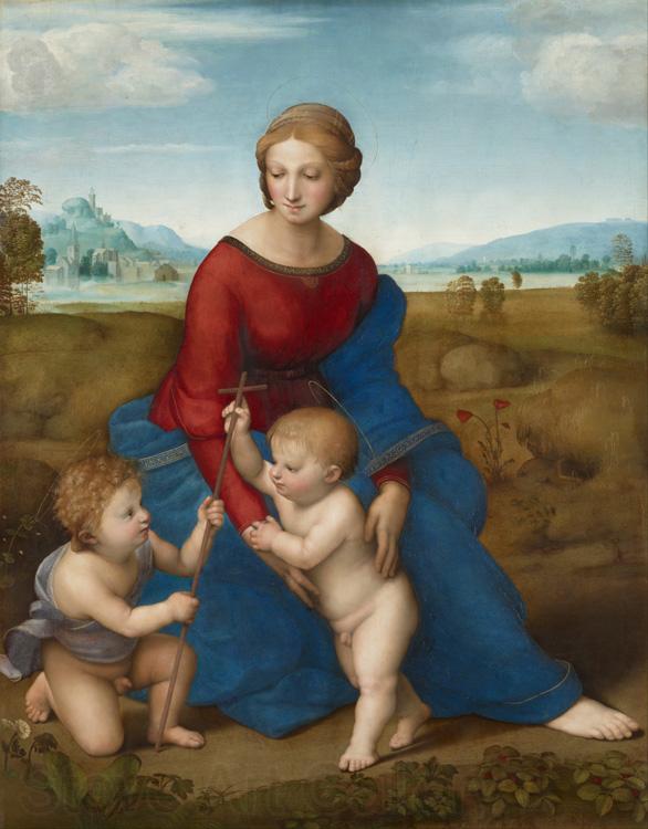 Raphael Madonna of the Meadows (mk08) Spain oil painting art
