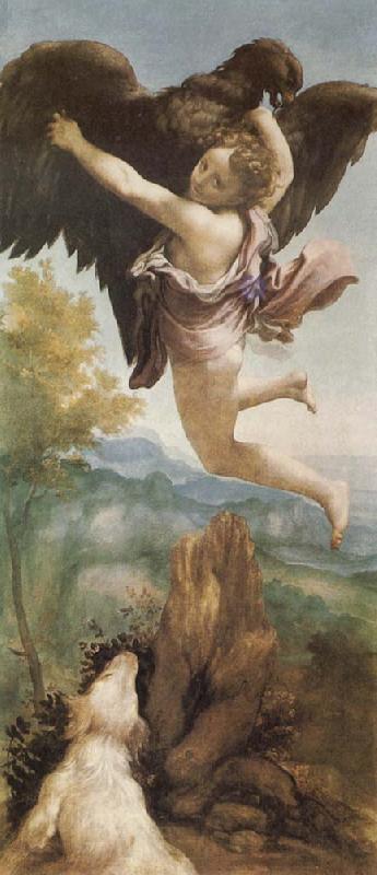 Correggio The Abduction of Ganymede France oil painting art