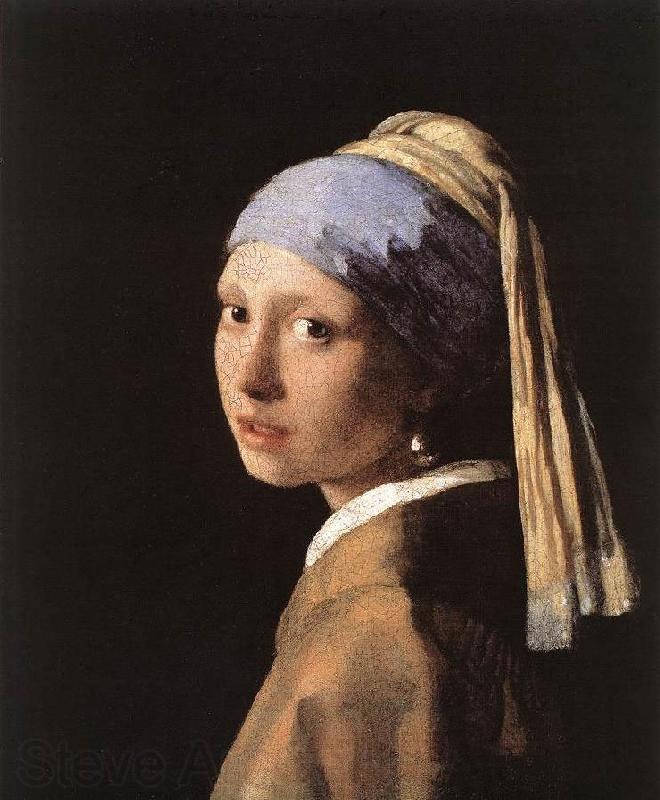 JanVermeer Girl with a Pearl Earring Norge oil painting art