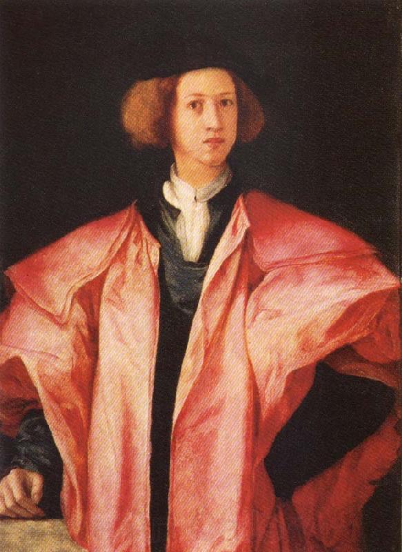 Pontormo Portrait of a young Man France oil painting art