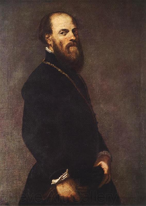 Tintoretto Man with a Golden Lace Norge oil painting art
